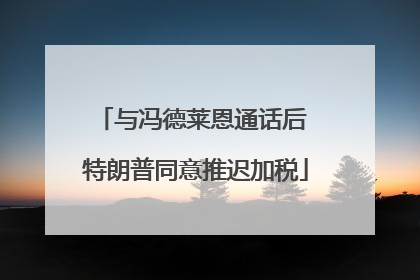 与冯德莱恩通话后 特朗普同意推迟加税