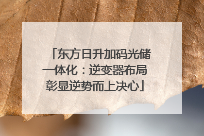 东方日升加码光储一体化：逆变器布局彰显逆势而上决心