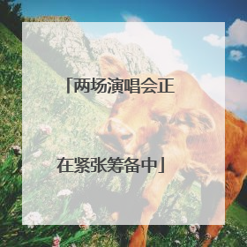 两场演唱会正在紧张筹备中