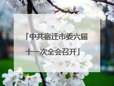 中共宿迁市委六届十一次全会召开