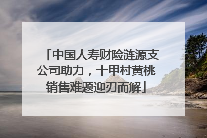 中国人寿财险涟源支公司助力，十甲村黄桃销售难题迎刃而解