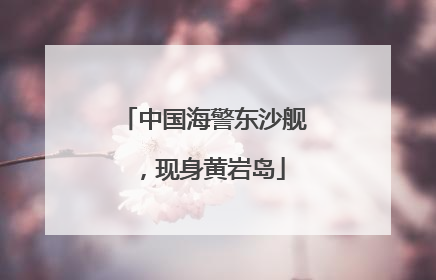 中国海警东沙舰，现身黄岩岛