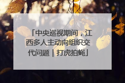 中央巡视期间，江西多人主动向组织交代问题｜打虎拍蝇