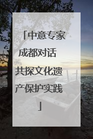 中意专家成都对话 共探文化遗产保护实践