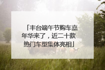 丰台端午节购车嘉年华来了，近二十款热门车型集体亮相