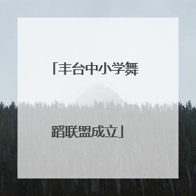 丰台中小学舞蹈联盟成立