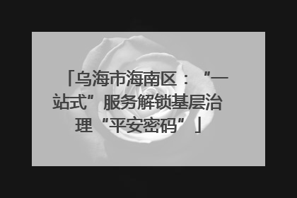 乌海市海南区：“一站式”服务解锁基层治理“平安密码”