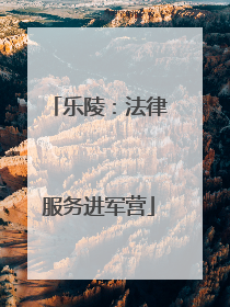 乐陵：法律服务进军营
