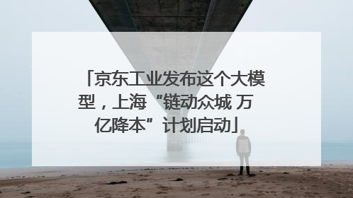 京东工业发布这个大模型，上海“链动众城 万亿降本”计划启动