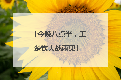 今晚八点半，王楚钦大战雨果