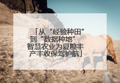从“经验种田”到“数据种地” 智慧农业为夏粮丰产丰收保驾护航