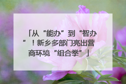从“能办”到“智办”！新乡多部门亮出营商环境“组合拳”