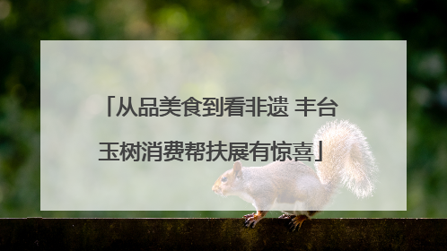 从品美食到看非遗 丰台玉树消费帮扶展有惊喜
