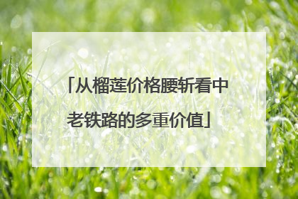 从榴莲价格腰斩看中老铁路的多重价值