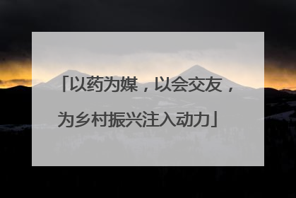 以药为媒，以会交友，为乡村振兴注入动力