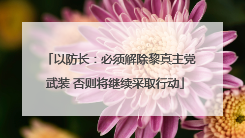 以防长：必须解除黎真主党武装 否则将继续采取行动