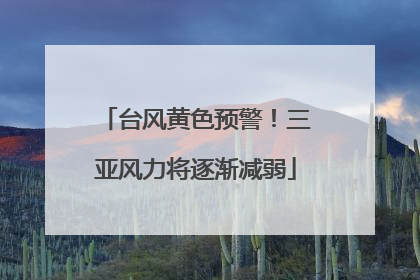 台风黄色预警！三亚风力将逐渐减弱