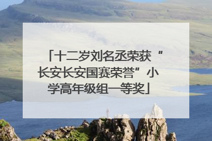 十二岁刘名丞荣获“长安长安国赛荣誉”小学高年级组一等奖