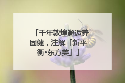 千年敦煌邂逅养固健，注解「新平衡•东方美」