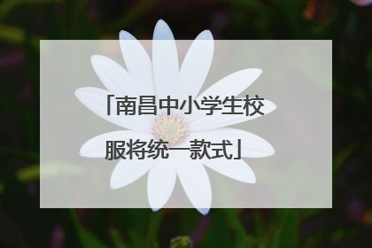 南昌中小学生校服将统一款式