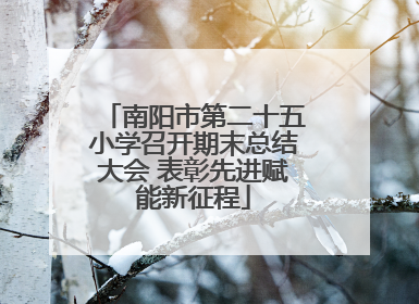 南阳市第二十五小学召开期末总结大会 表彰先进赋能新征程