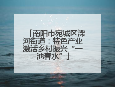 南阳市宛城区溧河街道：特色产业激活乡村振兴“一池春水”