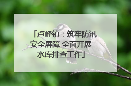 卢峰镇：筑牢防汛安全屏障 全面开展水库排查工作
