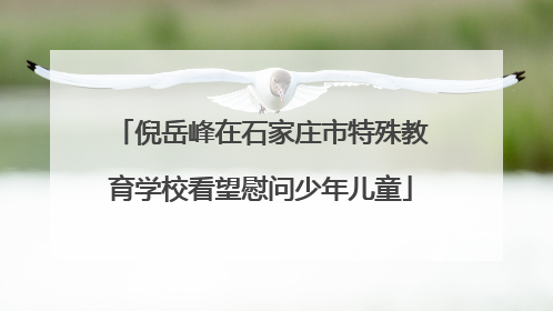 倪岳峰在石家庄市特殊教育学校看望慰问少年儿童