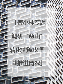 傅小林专题调研“两山”转化突破攻坚战推进情况