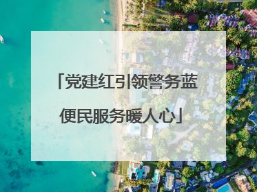 党建红引领警务蓝 便民服务暖人心
