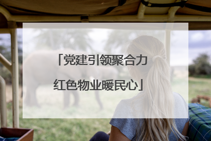 党建引领聚合力 红色物业暖民心