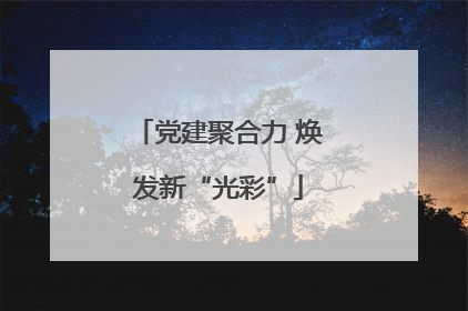 党建聚合力 焕发新“光彩”