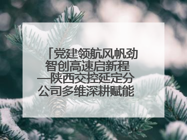 党建领航风帆劲 智创高速启新程—陕西交控延定分公司多维深耕赋能运营管理新跨越
