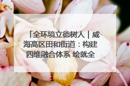 全环境立德树人｜威海高区田和街道：构建四维融合体系 绘就全环境立德树人新画卷