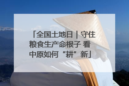 全国土地日｜守住粮食生产命根子 看中原如何“耕”新