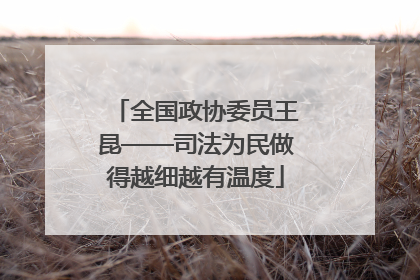 全国政协委员王昆——司法为民做得越细越有温度