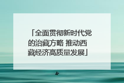 全面贯彻新时代党的治藏方略 推动西藏经济高质量发展
