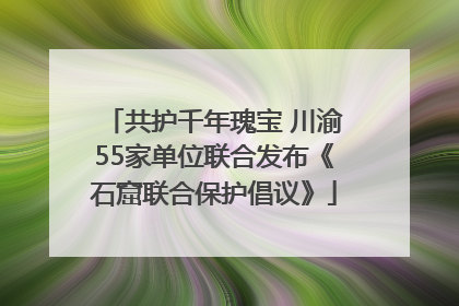 共护千年瑰宝 川渝55家单位联合发布《石窟联合保护倡议》