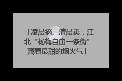 凌晨摘、清晨卖，江北“杨梅自由一条街”藏着最甜的烟火气