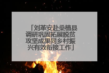 刘革安赴桑植县调研巩固拓展脱贫攻坚成果同乡村振兴有效衔接工作