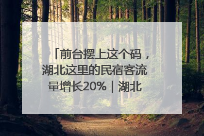 前台摆上这个码，湖北这里的民宿客流量增长20%｜湖北市场监管所的故事
