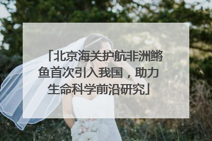 北京海关护航非洲鳉鱼首次引入我国，助力生命科学前沿研究