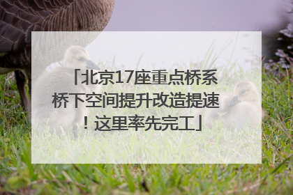 北京17座重点桥系桥下空间提升改造提速！这里率先完工