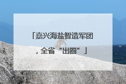 嘉兴海盐智造军团，全省“出圈”