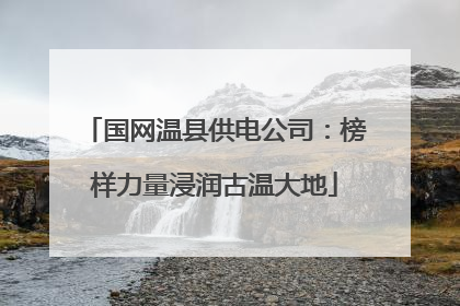 国网温县供电公司：榜样力量浸润古温大地
