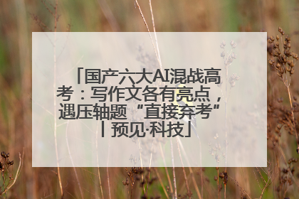国产六大AI混战高考：写作文各有亮点，遇压轴题“直接弃考”丨预见·科技