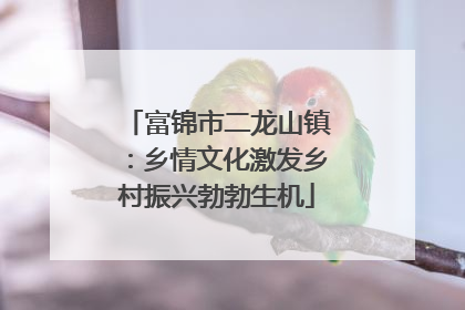 富锦市二龙山镇：乡情文化激发乡村振兴勃勃生机
