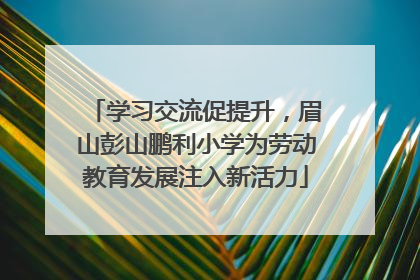 学习交流促提升，眉山彭山鹏利小学为劳动教育发展注入新活力