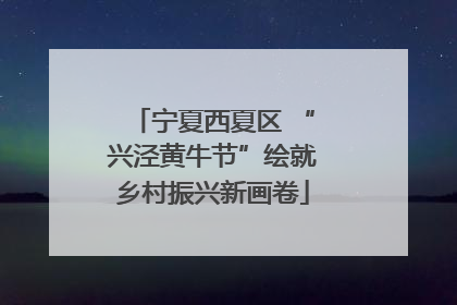 宁夏西夏区 “兴泾黄牛节”绘就乡村振兴新画卷