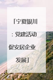 宁夏银川：党建活动促安居企业发展